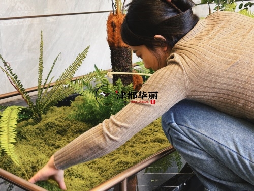 同心售楼部装修设计项目|镹臻设计